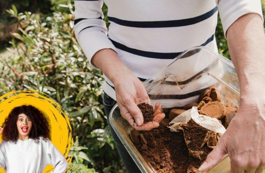 Elevate your outdoor spaces with the green gardener's secret weapon: coffee grounds!