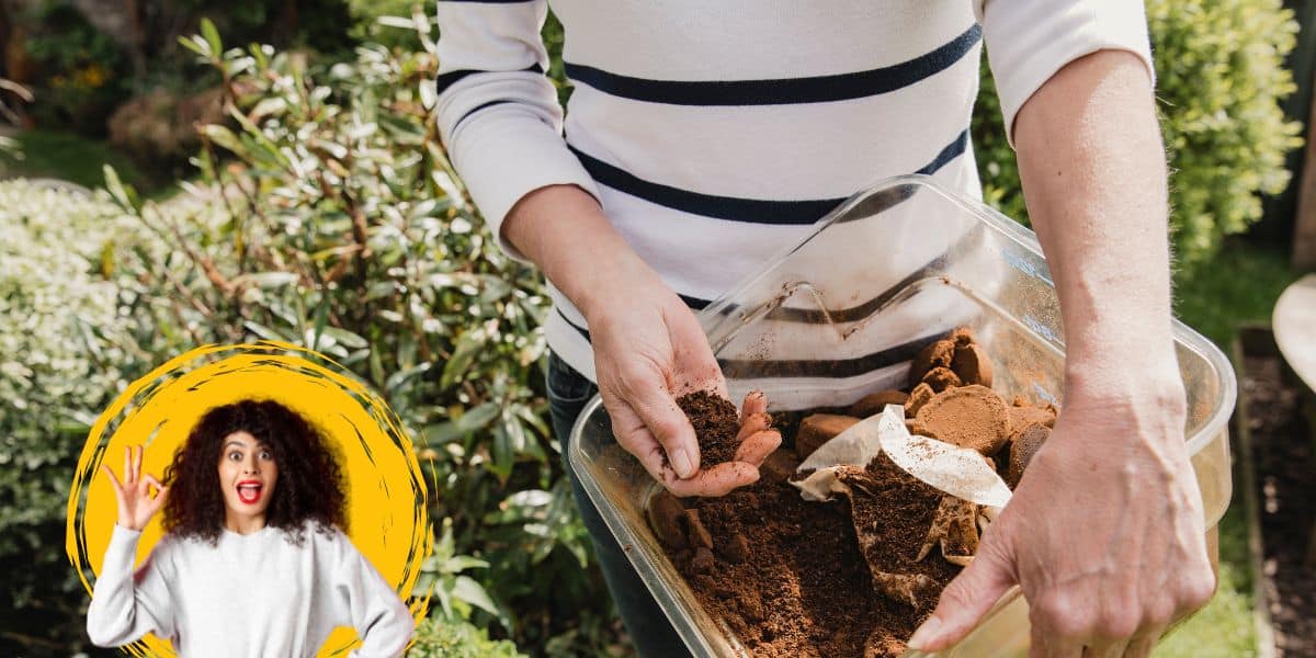 Elevate your outdoor spaces with the green gardener's secret weapon: coffee grounds!