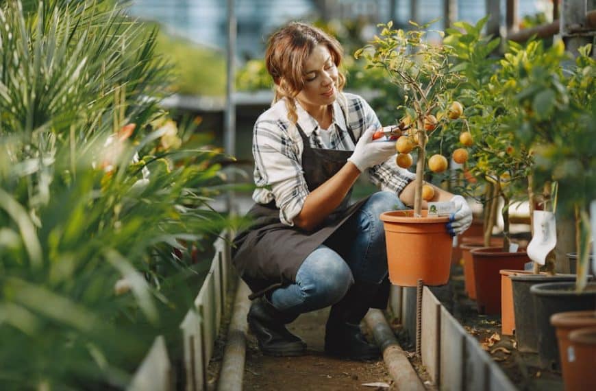 Master the art of fruit tree pruning with our comprehensive guide