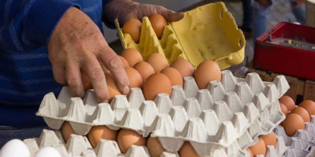 Selling eggs