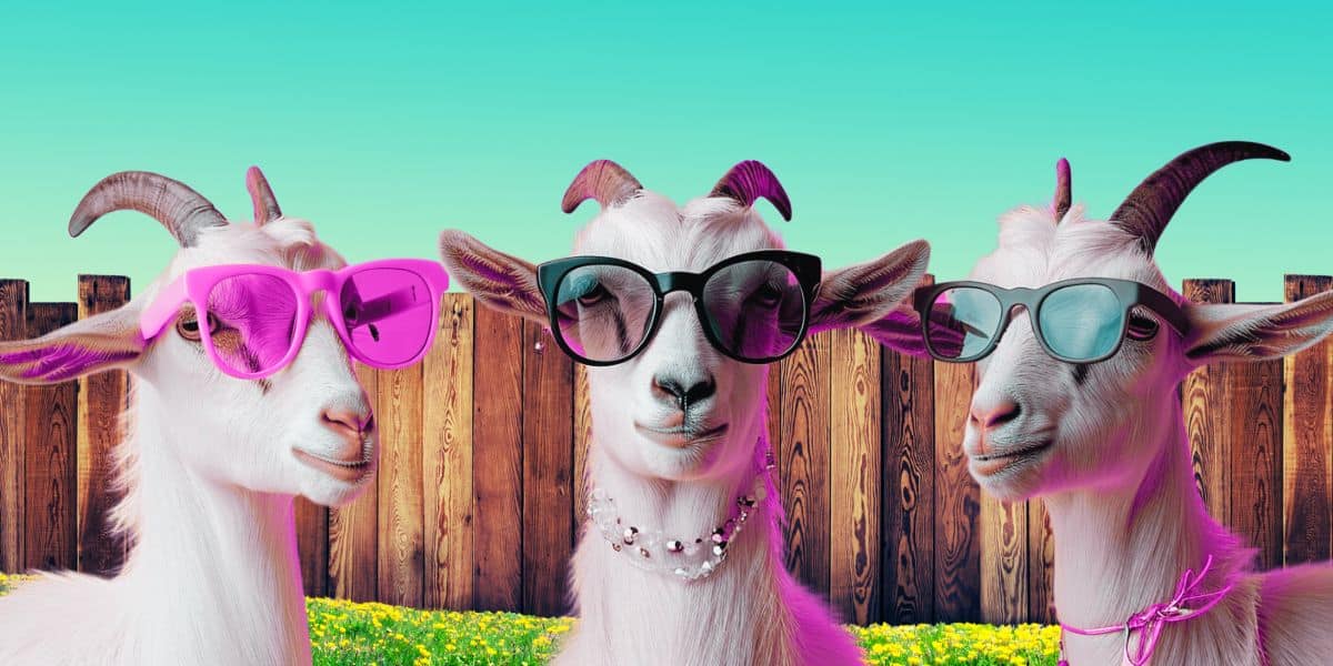 Fun image of goats in backyard