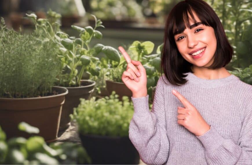 Herb Gardening Made Easy: Growing Your Own Kitchen Garden