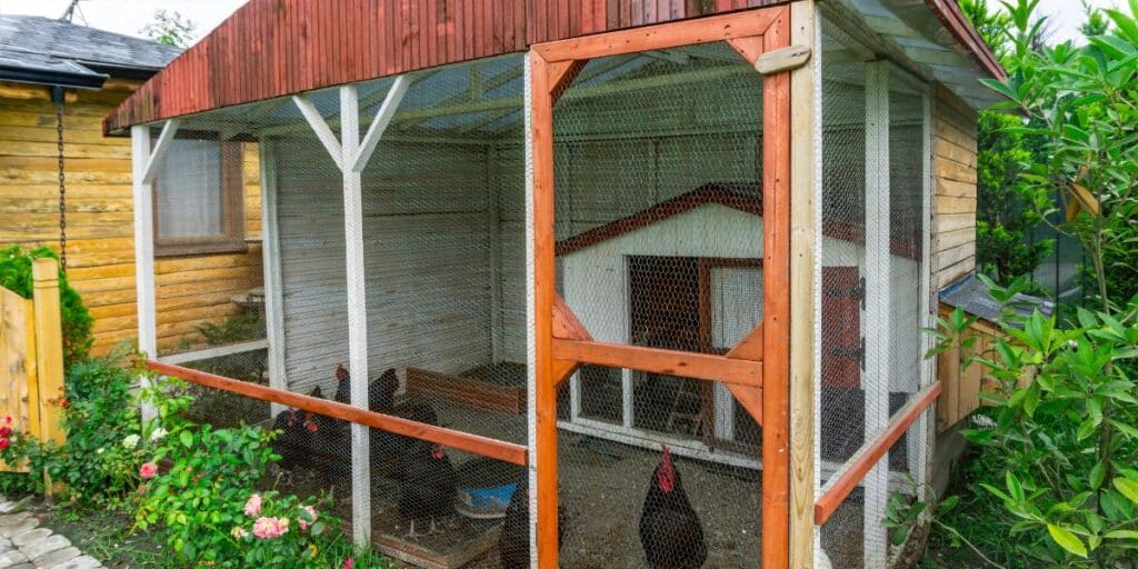 Chicken coop