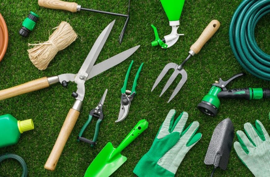 discover the must-have gardening tools to keep in your tool belt and optimize your gardening experience. find out which essential tools can make your gardening tasks easier and more efficient.